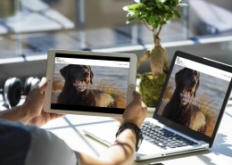 website-leeromgeving-learndash-wordpress-achterhoek